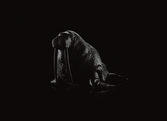 the-walrus-chair-03.jpg