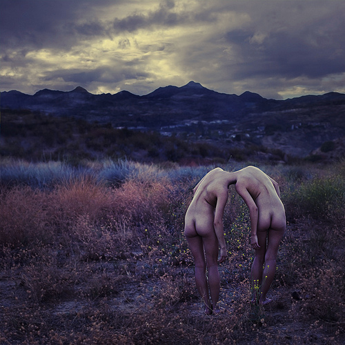 BrookeShaden20.jpg