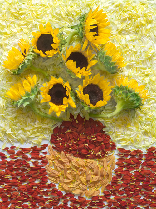 sunflowers1.jpg