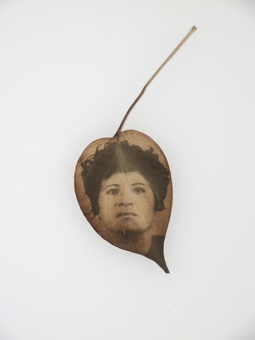 Binh Danh 23.jpg