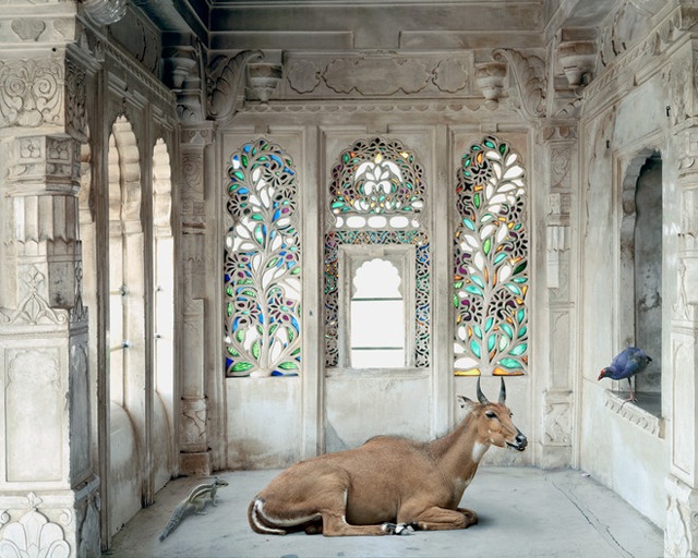 karenknorr01.jpg