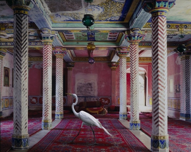 karenknorr03.jpg