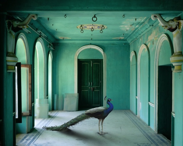 karenknorr05.jpg