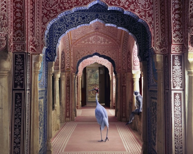 karenknorr07.jpg