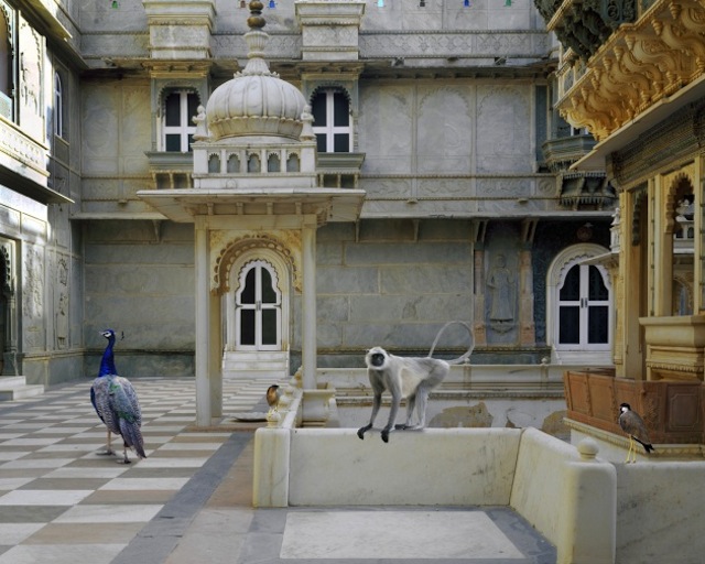 karenknorr09.jpg