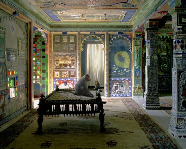 karenknorr11.jpg