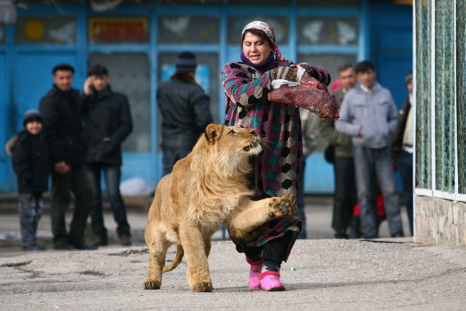 reuters2011100bestphotos18_.jpg