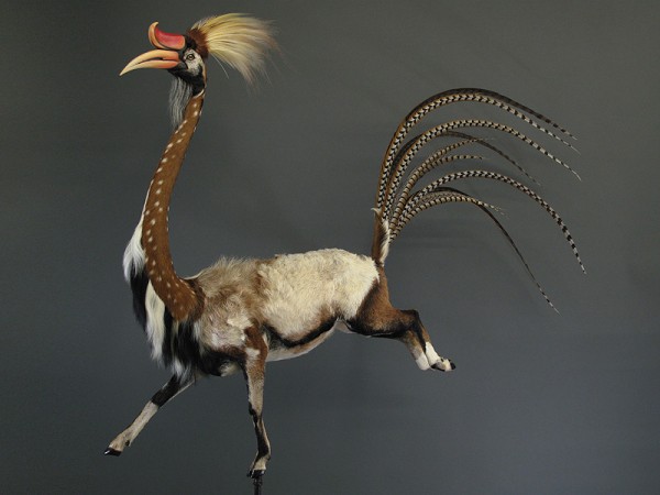 Enrique-Gomez-de-Molina-Taxidermy-Hybrids-1-600x450.jpg