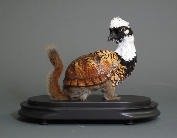 Enrique-Gomez-de-Molina-Taxidermy-Hybrids-2-600x468.jpg