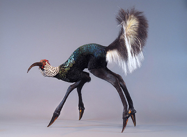 Enrique-Gomez-de-Molina-Taxidermy-Hybrids-3.jpg