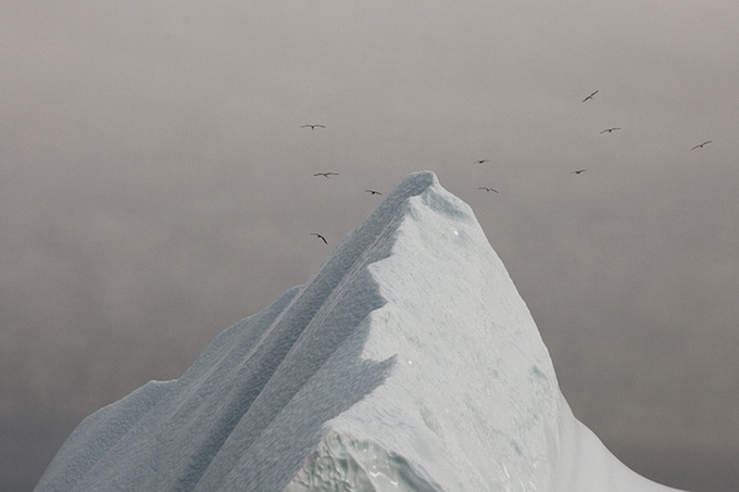 melt-portrait-of-an-iceberg-08_.jpg