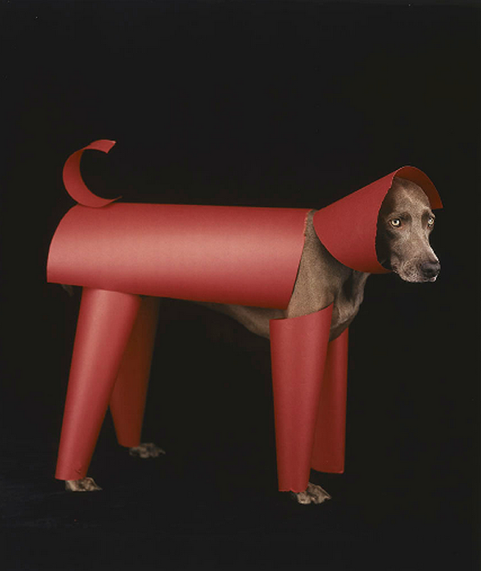 william-wegman-dog-portraits-1.png