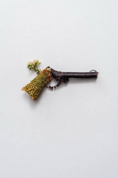 Weapons-made-of-Plants3-640x962.jpg