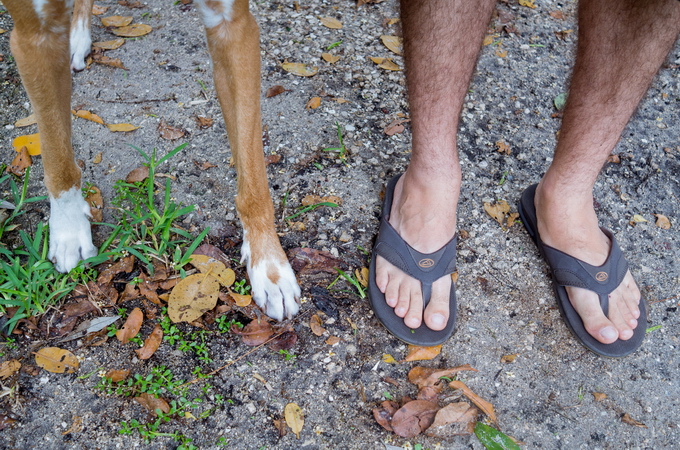 FEET&PAWS12.jpg