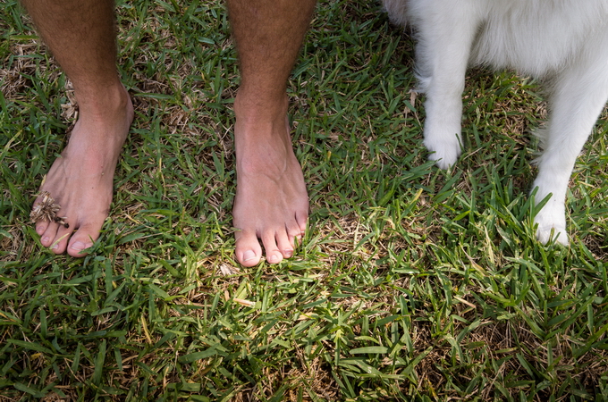 FEET&PAWS13.jpg