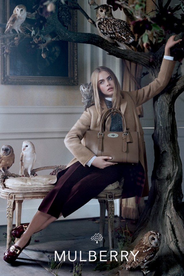 mulberry-fall3.jpg