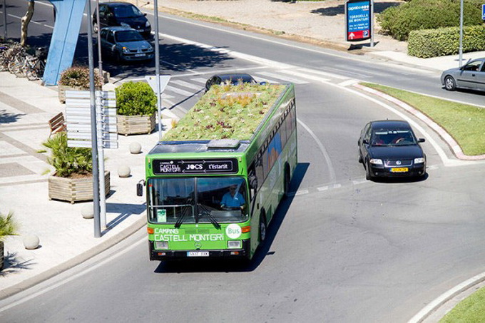 Green-Bus2-640x482.jpg