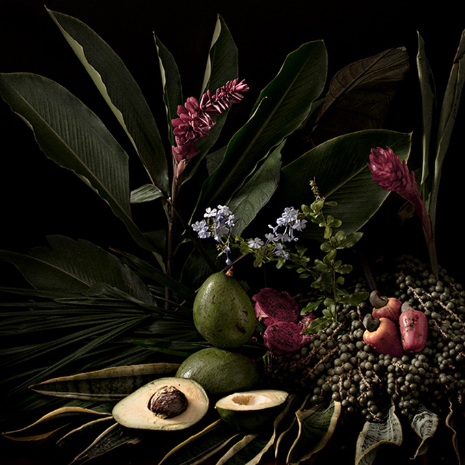 600x600xtropical-arrangements-rafael-dalo-10.jpg.pagespeed.ic.aRyfJaBkbU_.jpg