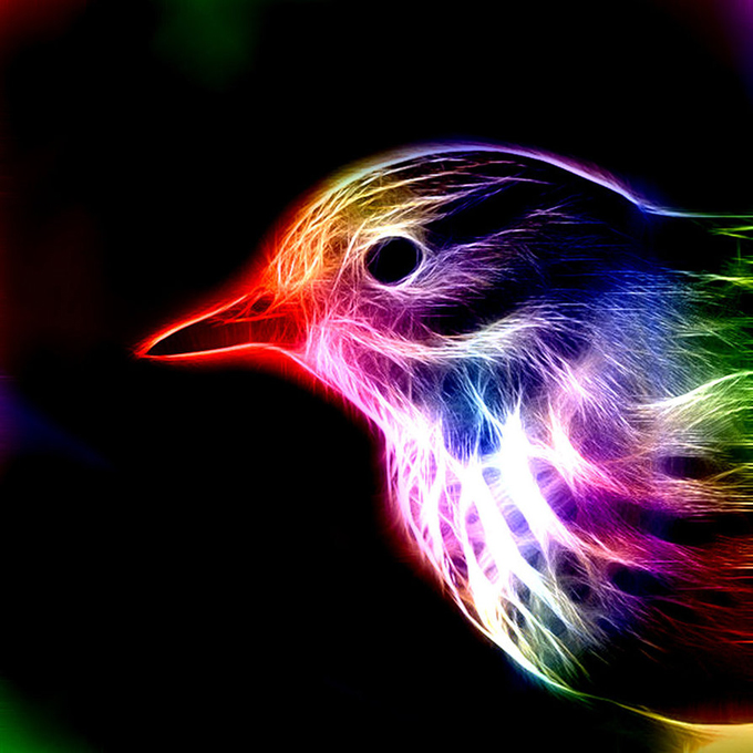 Fractal_Bird_by_minimoo64.jpg