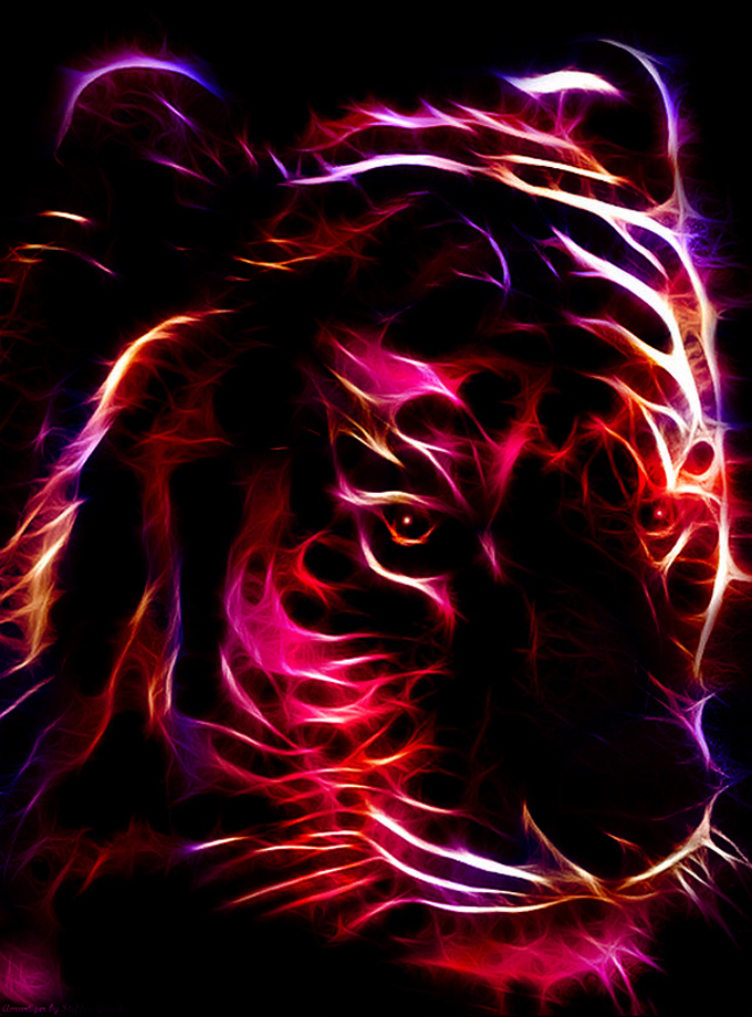 Fractal_Tiger_3_by_minimoo64.jpg