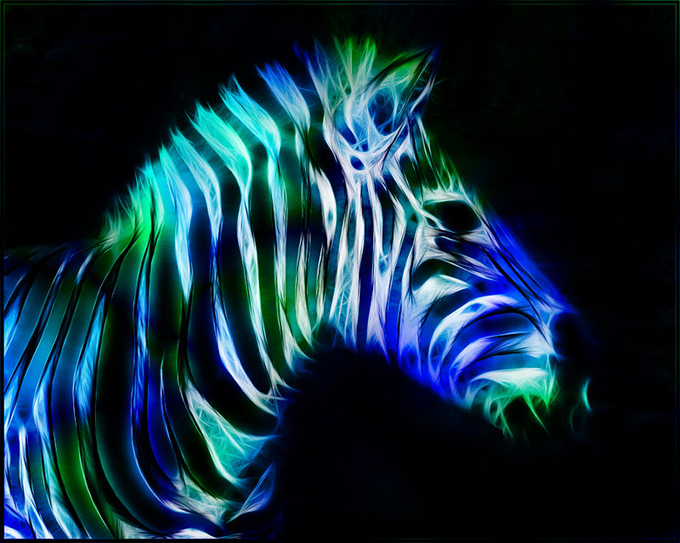 Fractal_Zebra_by_minimoo64.jpg