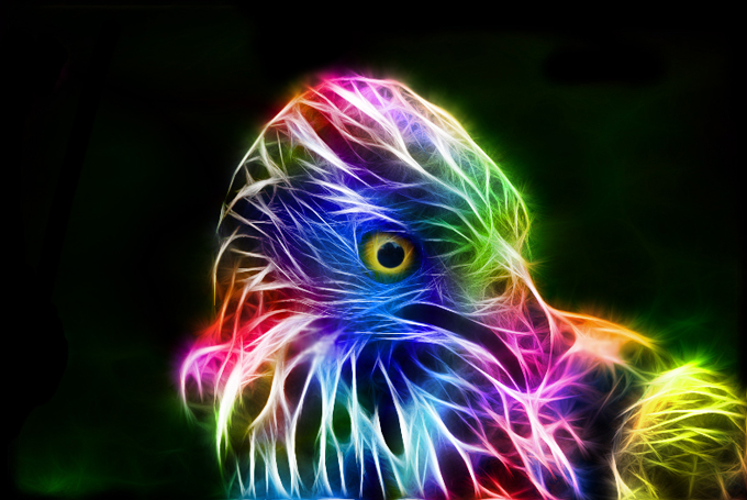 fractal_hawk_by_minimoo64-d3azzjd.jpg