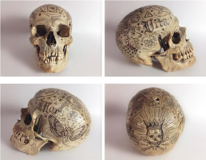 skull_jpg_opt715x555o0,0s715x555.jpg