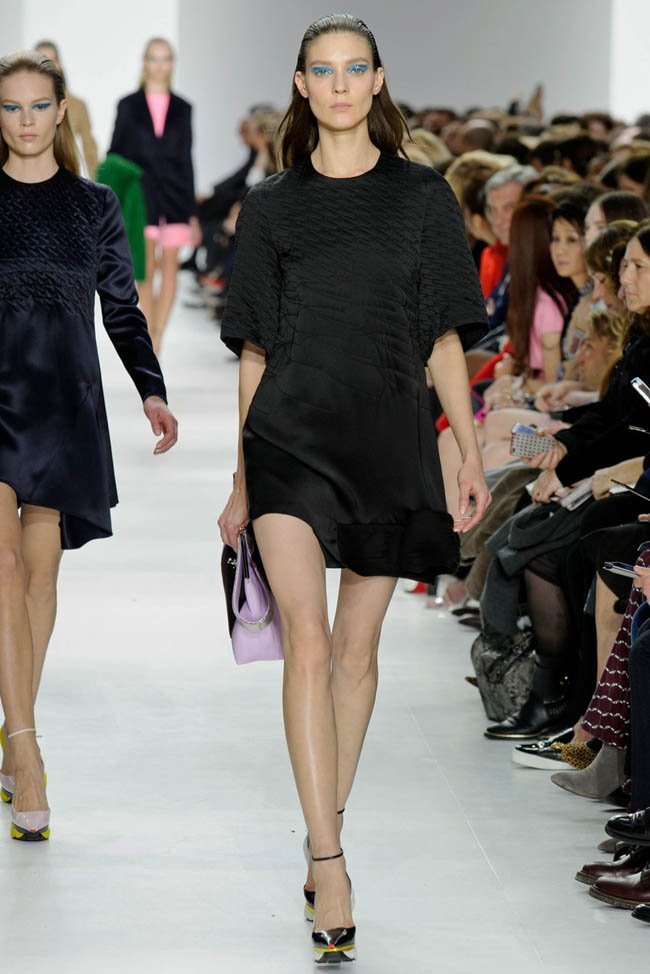 dior-fall-winter-2014-show14.jpg