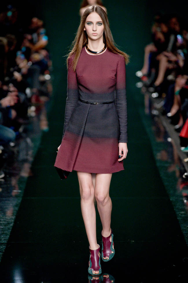 elie-saab-fall-winter-2014-show6.jpg