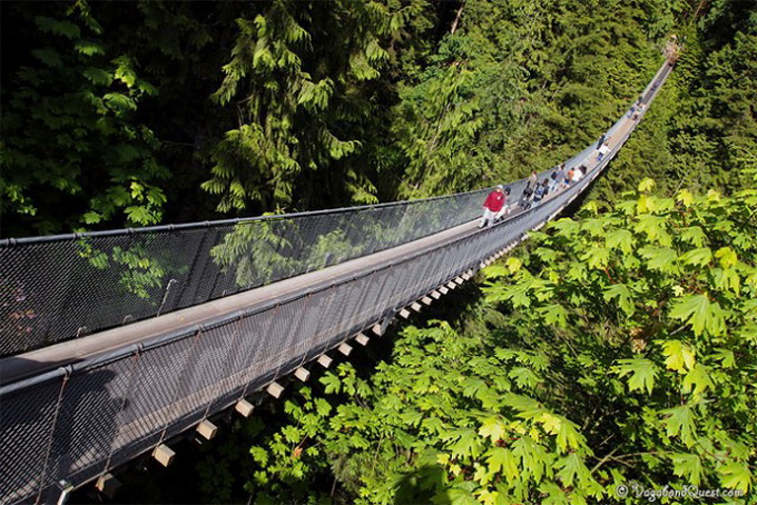 Capilano-Suspension-Bridge-in-Nort-Vancouver1-640x376.jpg