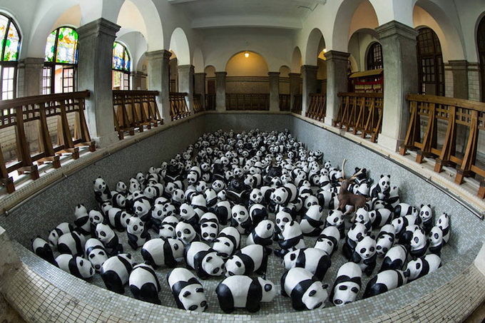 1600_pandas_hong_kong_02.jpg