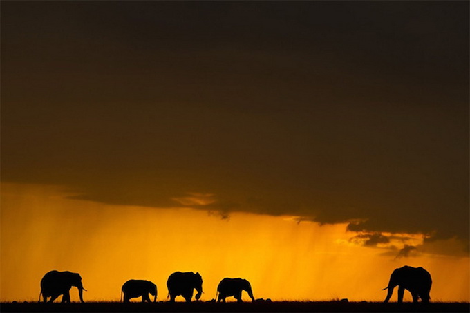 sunsetmasaimara-_04.jpg