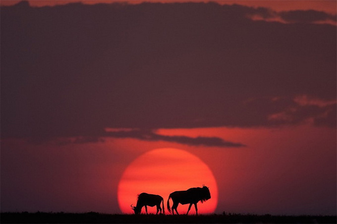 sunsetmasaimara-_11.jpg