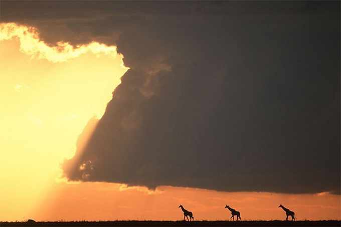 sunsetmasaimara-_12.jpg