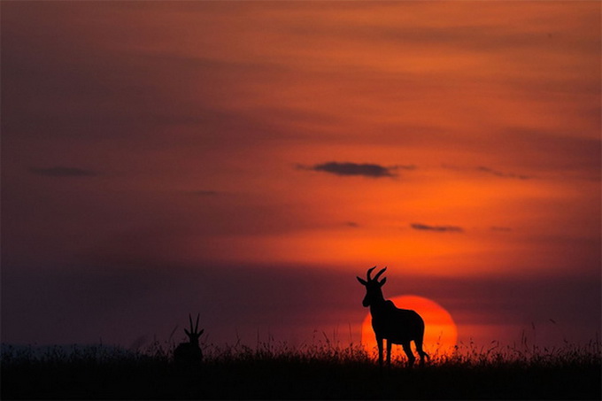 sunsetmasaimara-_16.jpg