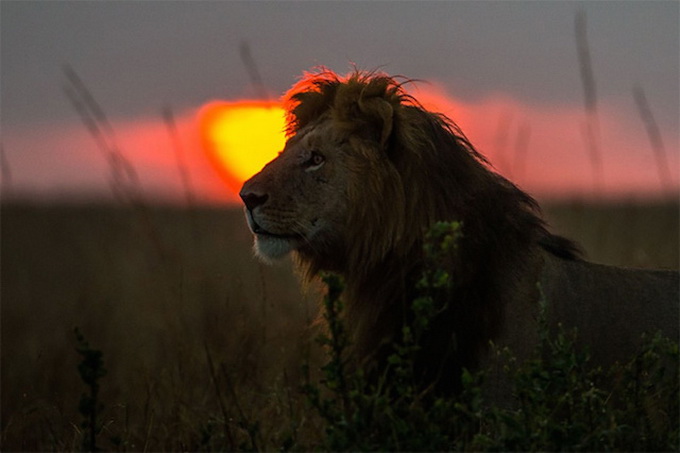 sunsetmasaimara-_24.jpg