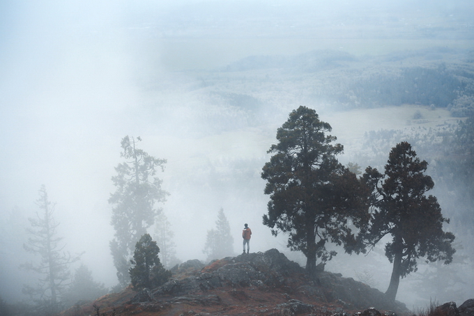 ElizabethGadd03.jpg