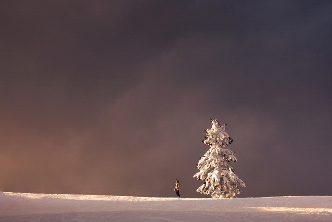 ElizabethGadd05.jpg