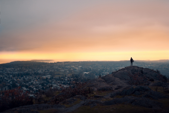 ElizabethGadd10.jpg