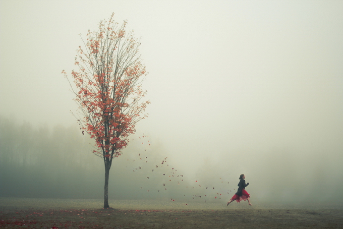 ElizabethGadd19.jpg