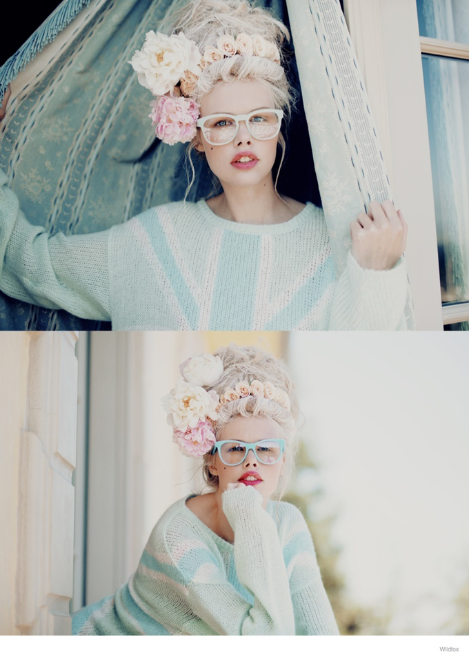 wildfox-marie-antoinette-glasses-fashion-17.jpg