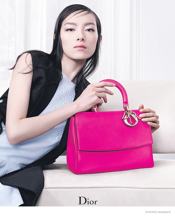 dior-accessories-2014-fall-ad-campaign01.jpg