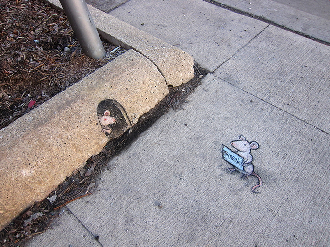 DavidZinn11.jpg