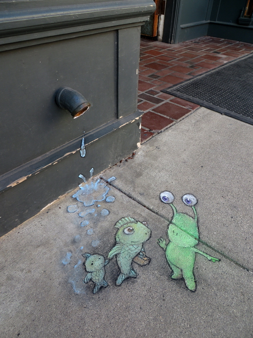 DavidZinn13.jpg