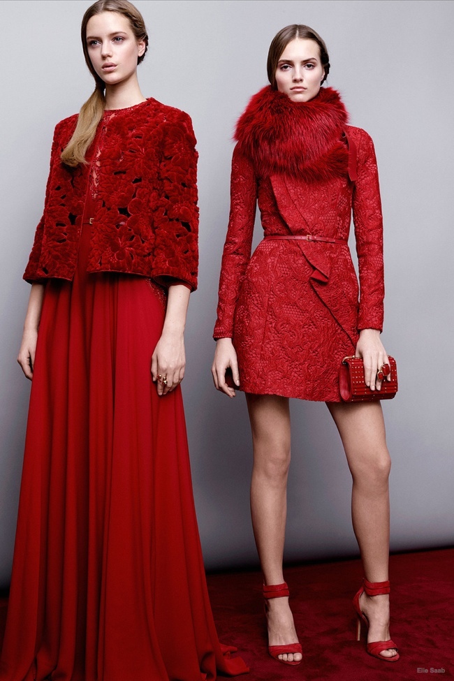 elie-saab-pre-fall-2015-photos26.jpg