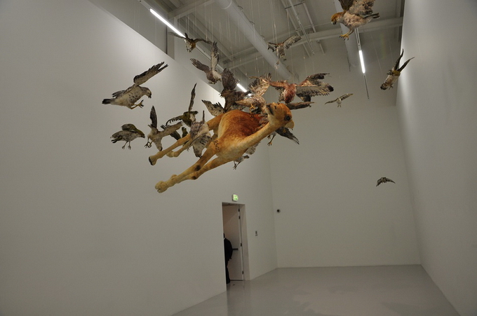 Cai Guo-Qiang18.jpg