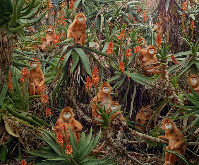 SimenJohan12.jpg