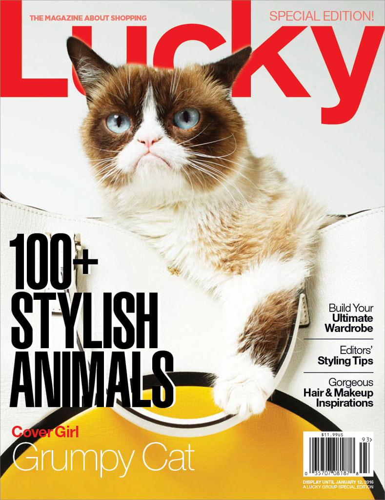 grumpy-cat-lucky-cover-2015.jpg