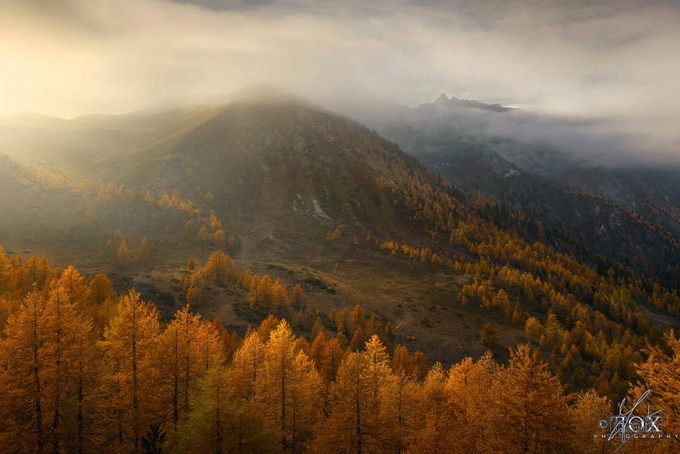 Enrico Fossati03.jpg