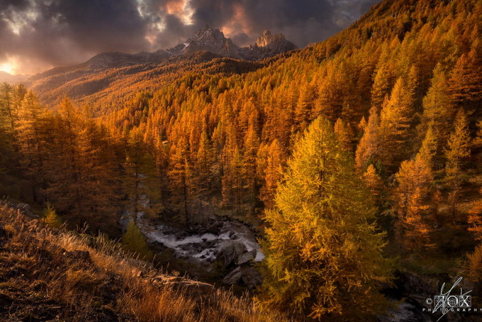 Enrico Fossati05.jpg